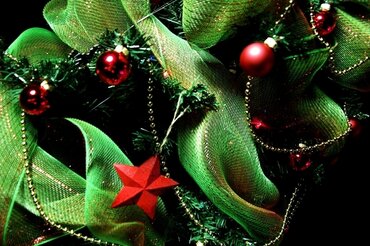 Grow your own Christmas decorations Grow your own Christmas decorations