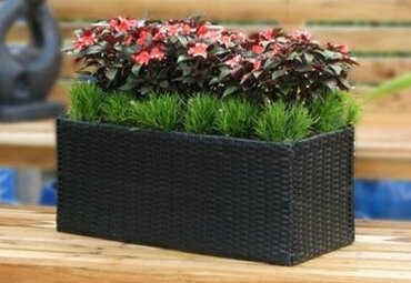 Year-round containers Year-round containers