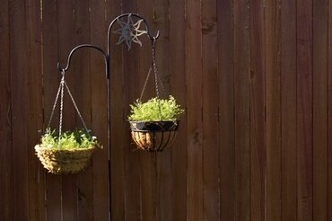 Edible hanging baskets Edible hanging baskets